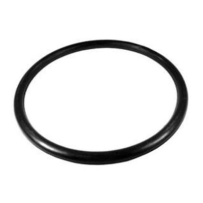 Anel Para Tubos e Conexões Esgoto 100mm 25002003 Plastilit