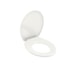 Assento Original Biscuit PP Eco Universal 425x370x20mm Roca