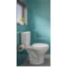 Bacia Branca para Caixa Aclopada 375x380x640mm - Celite
