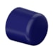 Cap PPR Industrial Azul 20MM Tigre 22315501