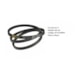 Correia em V BX-64 ACV1100064 - Rexon