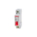 Disjuntor Din Unipolar 50A Curva C Steck SD61C50A