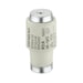 Fusível Diazed Retardado 63A 5SB431 Siemens