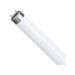 Lâmpada Fluor Fo 32W/840 Lumilux 7009319 Osram