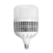 Lampada Led 100W E27 Biv 100/240V 6500K - Lumanti