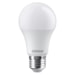 Lâmpada Led Bulbo 8W A60 E27 6500K Branca 7017053 Osram