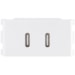 Modulo 2 Tomadas Carregador USB-C Biv 2A Branco - Tramontina