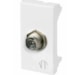Modulo Tomada Tv 2 Saidas Derivadas 28Db 615058 Pial Legrand