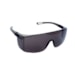 Óculos Sky Fume CA 39.878 WPS0203 - Delta Plus