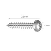 Parafuso Autoatarraxante Panela PH 3,9x22mm ZB 100un Ciser