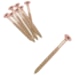 Parafuso Chipboard 6,0 X 60mm Chata Philips 39183002X Ciser
