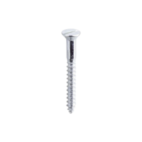 Parafuso Madeira Chave de Fenda 4,8x50mm C/10 unid - Bemfixa
