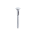 Parafuso Madeira Chave de Fenda 4,8x50mm C/10 unid - Bemfixa