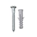 Parafuso Phillips com Bucha e Anel 5 mm – Bemfixa 3141