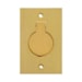 Placa Passagem Piso Unha 4x2 Latão 1 Tomada Stamplac Dourado